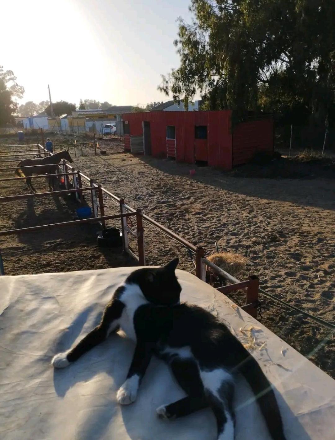 Willa Centro Ecuestre Girasol Chiclana de la Frontera Zewnętrze zdjęcie
